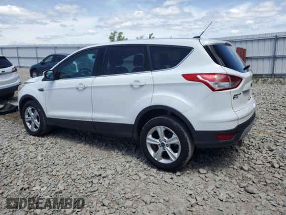 2013 Ford Escape SE with VIN 1FMCU0G98DUA98873, listed as a Copart auction lot 61253725 with 140,534 mi miles and Clean title. Bid and sale history available at DreamBid. Image 2.