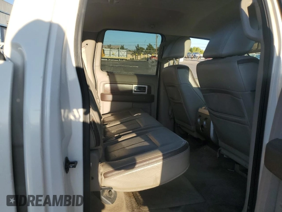 2009 Ford F-150 XL with VIN 1FTPW14V29FA61823, listed as a Copart auction lot 73438054 with 242,529 mi miles and Clean title. Bid and sale history available at DreamBid. Image 10.