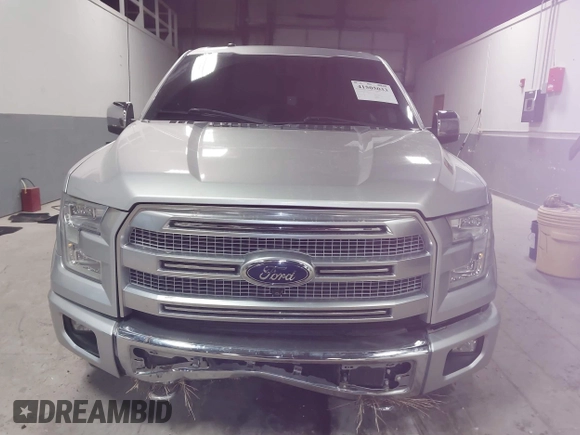 2017 Ford F-150 XL with VIN 1FTEW1EG4HFC45490, listed as a IAAI auction lot 41505033 with 122,991 mi miles. Bid and sale history available at carsss.com. Image 13.