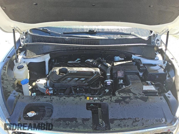 2018 Kia Sorento EX with VIN 5XYPH4A15JG347633, listed as a Copart auction lot 47610425 with 132,654 mi miles and Clean title. Bid and sale history available at DreamBid. Image 12.