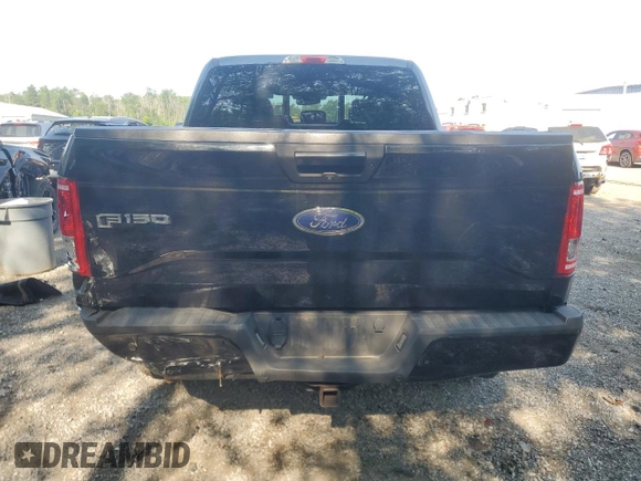 2016 Ford F-150 XLT with VIN 1FTEW1EP4GFD27637, listed as a Copart auction lot 63101465 with 251,049 mi miles and Clean title. Bid and sale history available at DreamBid. Image 6.