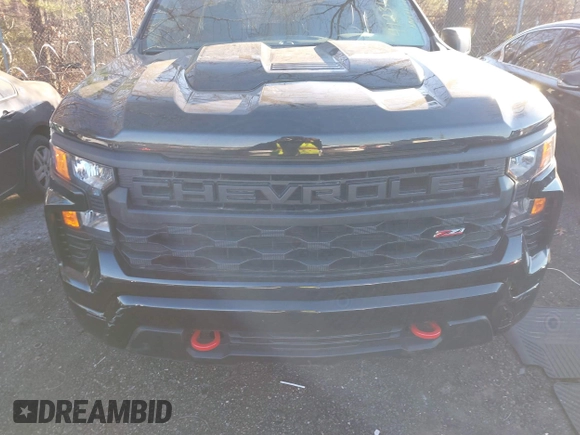 2024 Chevrolet Silverado 1500 Custom Trail Boss with VIN 3GCUDCED2RG375626, listed as a IAAI auction lot 41231846 with 4,565 mi miles. Bid and sale history available at carsss.com. Image 11.