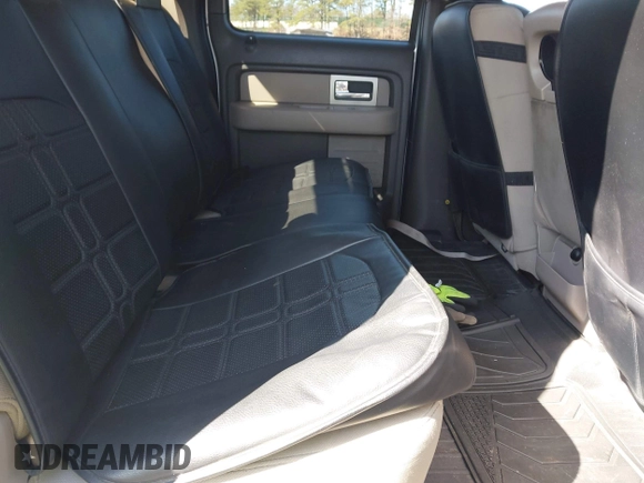 2009 Ford F-150 XL with VIN 1FTRW14879FA88633, listed as a IAAI auction lot 41904342 with 233,232 mi miles. Bid and sale history available at carsss.com. Image 8.