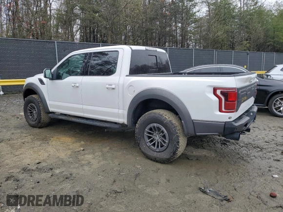 2020 Ford F-150 Raptor with VIN 1FTFW1RG5LFA69167, listed as a Copart auction lot 42113214 with 70,276 mi miles and Salvage Title. Bid and sale history available at carsss.com. Image 2.