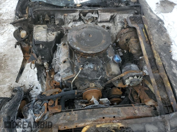 1978 Chevrolet Corvette z VIN 1Z87L8S408161, wystawiony jako Copart lot #42290205 z przebiegiem Nie podano mil oraz Czysty tytuł • Clean title. Historia ofert i sprzedaży dostępna na DreamBid. Obrazek 11.