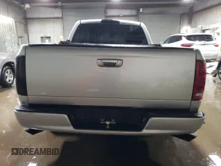 2002 Dodge 1500 with VIN 1D7HA16N32J253194, listed as a Copart auction lot 43307295 with Not provided miles and Salvage title. Bid and sale history available at DreamBid. Image 6.