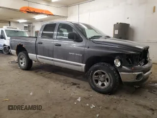 2002 Dodge 1500 with VIN 1D7HU18N42S581898, listed as a Copart auction lot 45700605 with 185,689 mi miles and Salvage Title. Bid and sale history available at carsss.com. Image 4.