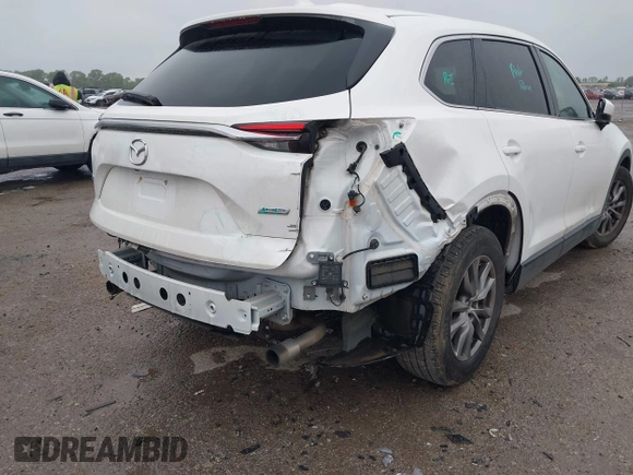 2019 Mazda CX-9 Touring with VIN JM3TCACY2K0328347, listed as a IAAI auction lot 41917854 with 67,173 mi miles and . Bid and sale history available at DreamBid. Image 6.