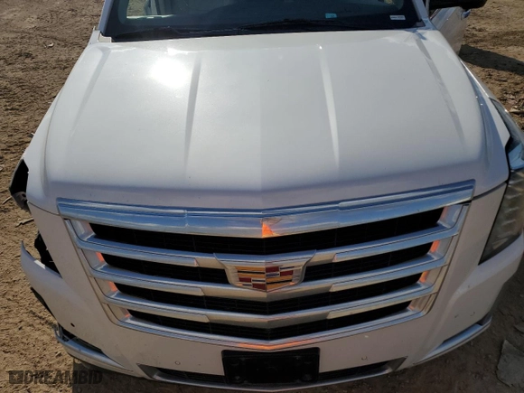 2020 Cadillac Escalade Premium Luxury with VIN 1GYS4CKJ1LR156921, listed as a Copart auction lot 79101074 with 80,991 mi miles and Salvage Title. Bid and sale history available at carsss.com. Image 12.