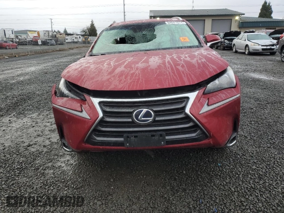 2017 Lexus NX 300h with VIN JTJBJRBZ1H2066124, listed as a Copart auction lot 84041074 with Not Provided miles and Salvage Title. Bid and sale history available at DreamBid. Image 5.