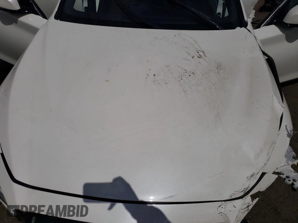 2021 Infiniti Q50 Signature Edition with VIN JN1EV7CR5MM755866, listed as a Copart auction lot 53243505 with Not provided miles and Salvage title. Bid and sale history available at DreamBid. Image 13.