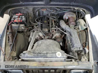 1993 Jeep Wrangler S with VIN 1J4FY19P9PP227563, listed as a Copart auction lot 60095405 with 166,851 mi miles and Clean title. Bid and sale history available at DreamBid. Image 11.