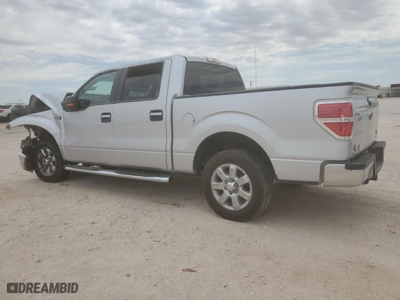 2013 Ford F-150 XL with VIN 1FTEW1CM1DKD06918, listed as a Copart auction lot 53304535 with 123,443 mi miles and Salvage Title. Bid and sale history available at carsss.com. Image 2.