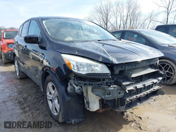2013 Ford Escape SE с VIN 1FMCU0GX0DUD08753, выставлен на аукционе IAAI как лот 41674828 с пробегом 149 850 миль миль и . История ставок и продаж доступна на DreamBid. Изображение 1.