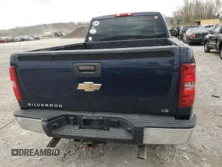 2011 Chevrolet Silverado 1500 Work Truck with VIN 1GCRCPEX7BZ182789, listed as a Copart auction lot 50601005 with 173,159 mi miles and Non Repairable. Bid and sale history available at DreamBid. Image 6.