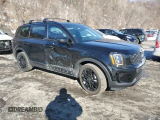 2022 Kia Telluride SX with VIN 5XYP5DHC1NG323836, listed as a Copart auction lot 45961675 with 33,273 mi miles and Salvage title. Bid and sale history available at DreamBid. Image 4.
