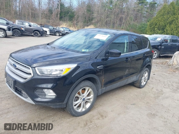 2019 Ford Escape SE with VIN 1FMCU9GD9KUA66116, listed as a IAAI auction lot 42070604 with 98,777 mi miles. Bid and sale history available at carsss.com. Image 2.