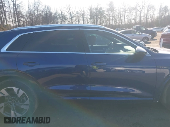 2021 Audi e-tron Premium Plus with VIN WA1LAAGE3MB028896, listed as a IAAI auction lot 41415811 with 39,770 mi miles and . Bid and sale history available at DreamBid. Image 13.