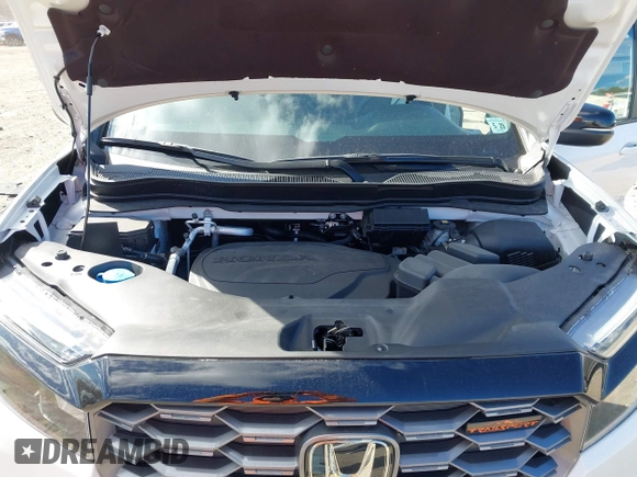 2024 Honda Passport TrailSport with VIN 5FNYF8H69RB016415, listed as a IAAI auction lot 41701049 with 10,365 mi miles and . Bid and sale history available at DreamBid. Image 10.