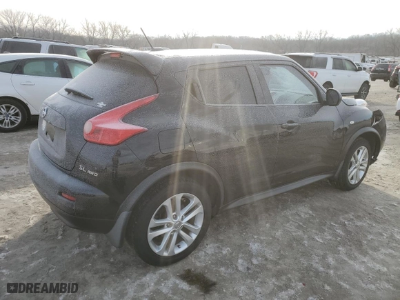 2013 Nissan Juke SL with VIN JN8AF5MV9DT208604, listed as a Copart auction lot 42532965 with 135,226 mi miles and Salvage Title. Bid and sale history available at carsss.com. Image 3.