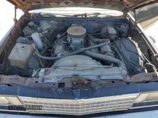 1979 Chevrolet El Camino z VIN 1W80H9R477424, wystawiony jako Copart lot #49366355 z przebiegiem Nie podano mil oraz Nie do naprawy • Non repairable. Historia ofert i sprzedaży dostępna na DreamBid. Obrazek 11.