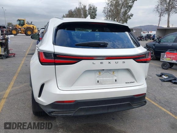 2024 Lexus NX 250 with VIN JTJADCAZ4R2013677, listed as a IAAI auction lot 41548654 with 24,564 mi miles and . Bid and sale history available at DreamBid. Image 17.