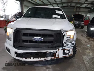 2015 Ford F-150 XL with VIN 1FTEX1C84FKF19753, listed as a IAAI auction lot 41561147 with 170,675 mi miles. Bid and sale history available at carsss.com. Image 12.