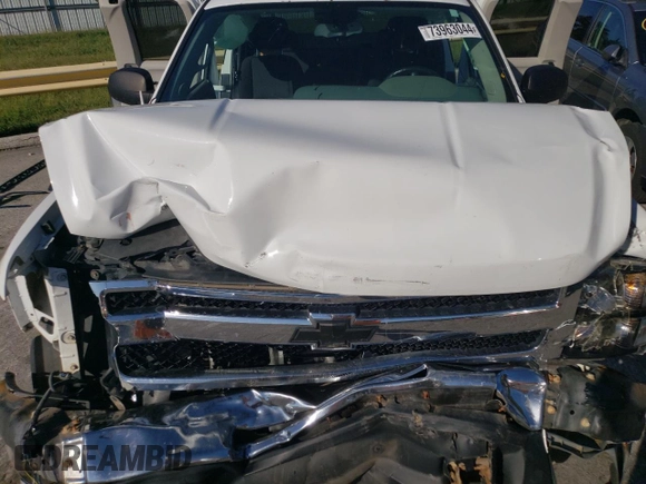 2011 Chevrolet Silverado 1500 Work Truck with VIN 1GCRKPE3XBZ402815, listed as a Copart auction lot 73963044 with 227,688 mi miles and Salvage Title. Bid and sale history available at DreamBid. Image 11.