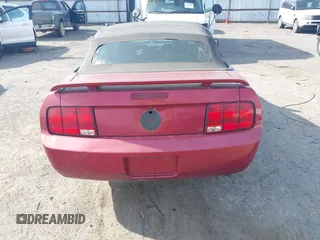 2006 Ford Mustang Standard with VIN 1ZVFT84N365190097, listed as a IAAI auction lot 42015242 with Not Provided miles and . Bid and sale history available at carsss.com. Image 14.