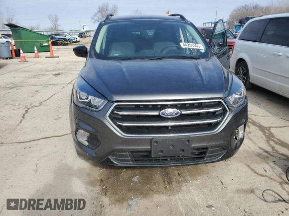 2019 Ford Escape SE with VIN 1FMCU0GDXKUA46873, listed as a Copart auction lot 44201505 with 123,631 mi miles and Salvage Title. Bid and sale history available at carsss.com. Image 5.