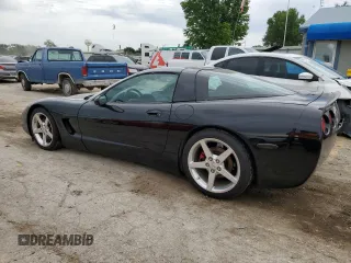 2004 Chevrolet Corvette with VIN 1G1YY22G345126176, listed as a Copart auction lot 58344684 with 0 mi miles and Salvage Title. Bid and sale history available at carsss.com. Image 2.