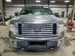 2010 Ford F-150 XL with VIN 1FTFW1EV8AFA98020, listed as a Copart auction lot 46349145 with 197,102 mi miles and Salvage Title. Bid and sale history available at carsss.com. Image 5.