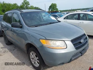 2009 Hyundai Santa Fe GLS z VIN 5NMSG13D89H311892, wystawiony jako IAAI lot #42466202 z przebiegiem 240 330 mil mil oraz . Historia ofert i sprzedaży dostępna na DreamBid. Obrazek 1.