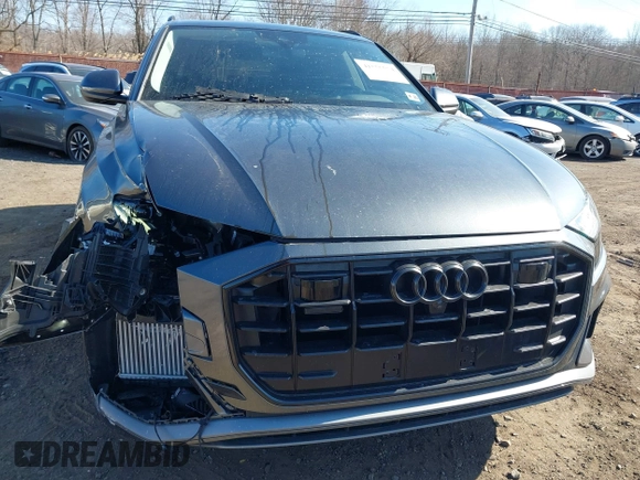 2021 Audi Q8 Premium Plus with VIN WA1EVAF16MD026866, listed as a IAAI auction lot 41555574 with 34,270 mi miles and . Bid and sale history available at DreamBid. Image 19.