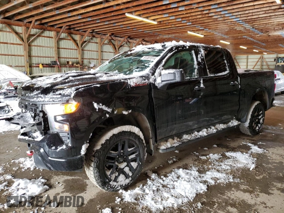 2022 Chevrolet Silverado 1500 Custom Trail Boss with VIN 3GCPDCEK0NG608635, listed as a Copart auction lot 81301514 with 46,289 mi miles and Salvage Title. Bid and sale history available at carsss.com. Image 1.