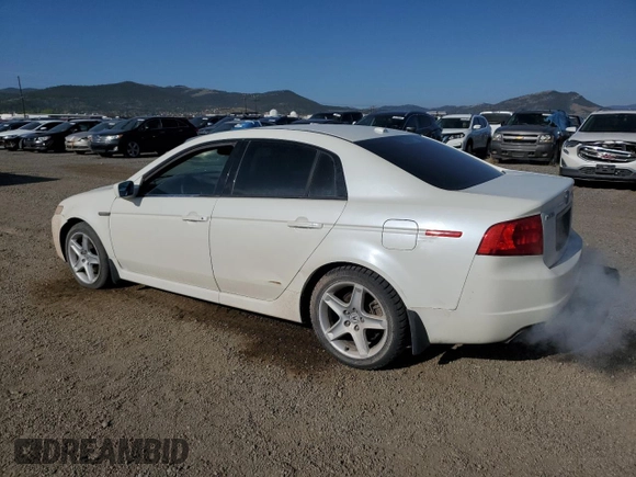 2005 Acura TL with VIN 19UUA66295A039005, listed as a Copart auction lot 53960645 with 290,175 mi miles and Clean Title. Bid and sale history available at carsss.com. Image 2.
