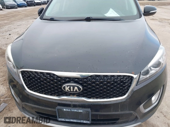2016 Kia Sorento EX with VIN 5XYPHDA53GG171158, listed as a IAAI auction lot 42014017 with 219,595 mi miles. Bid and sale history available at carsss.com. Image 6.