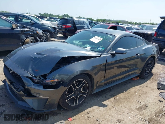 2019 Ford Mustang EcoBoost z VIN 1FA6P8TH1K5118026, wystawiony jako IAAI lot #42204167 z przebiegiem 66 425 mil mil oraz . Historia ofert i sprzedaży dostępna na DreamBid. Obrazek 2.