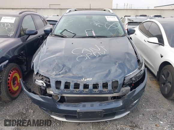 2019 Jeep Cherokee Limited with VIN 1C4PJMDX4KD400228, listed as a IAAI auction lot 42533145 with 64,537 mi miles and . Bid and sale history available at DreamBid. Image 13.