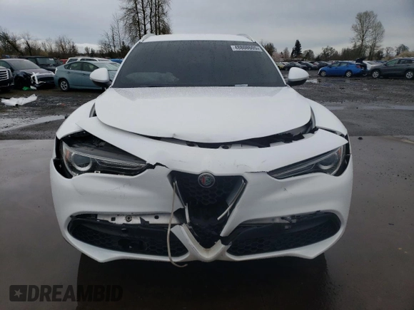 2018 Alfa Romeo Stelvio z VIN ZASFAKAN9J7B88322, wystawiony jako Copart lot #48808605 z przebiegiem 87 096 mil mil oraz Szkody całkowita. Historia ofert i sprzedaży dostępna na DreamBid. Obrazek 5.