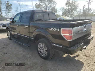 2009 Ford F-150 XL with VIN 1FTPW14V39FA46411, listed as a Copart auction lot 77964244 with 267,792 mi miles and Salvage title. Bid and sale history available at DreamBid. Image 2.