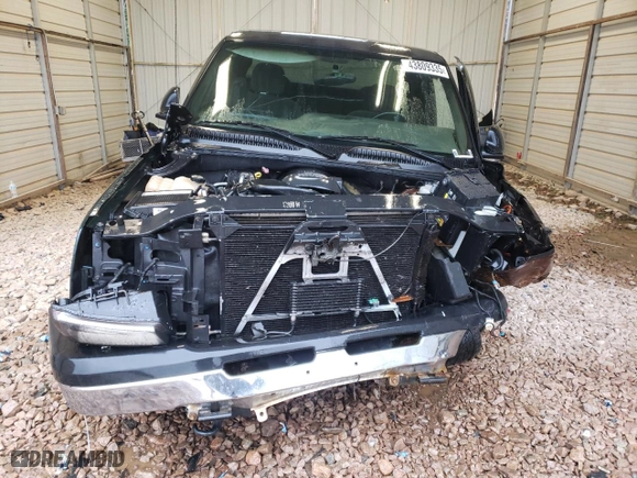 2004 Chevrolet Silverado 1500 LS with VIN 2GCEK19T941203854, listed as a Copart auction lot 43809335 with 303,087 mi miles and Salvage Title. Bid and sale history available at carsss.com. Image 5.
