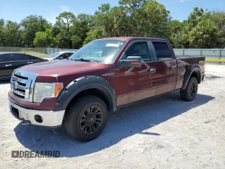2009 Ford F-150 XL with VIN 1FTPW14V09FB23767, listed as a Copart auction lot 61415955 with 351,194 mi miles and Clean title. Bid and sale history available at DreamBid. Image 1.