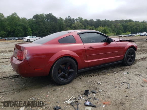 2005 Ford Mustang Deluxe with VIN 1ZVFT80N355197524, listed as a Copart auction lot 56963425 with 262,048 mi miles and Salvage title. Bid and sale history available at DreamBid. Image 3.
