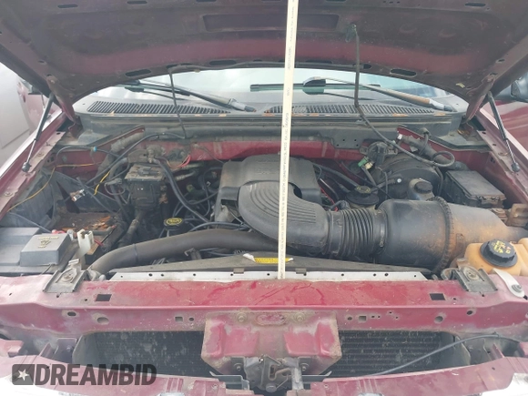 1999 Ford F-150 with VIN 1FTRX17W2XNB98256, listed as a IAAI auction lot 41931497 with Not Provided miles and . Bid and sale history available at DreamBid. Image 10.