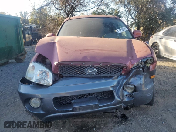 2003 Hyundai Santa Fe LX with VIN KM8SC73E63U489772, listed as a Copart auction lot 77115994 with 137,579 mi miles and Salvage Title. Bid and sale history available at carsss.com. Image 5.