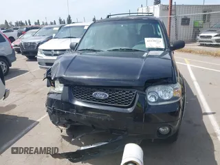 2006 Ford Escape Hybrid z VIN 1FMCU96H96KA25975, wystawiony jako IAAI lot #42130554 z przebiegiem 235 342 mil mil oraz . Historia ofert i sprzedaży dostępna na DreamBid. Obrazek 12.