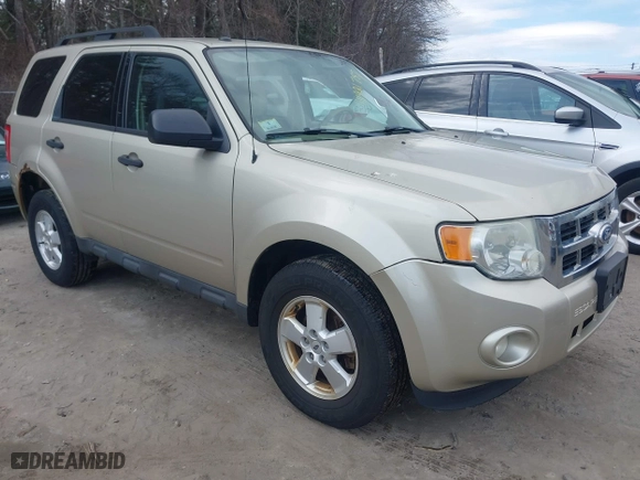 2011 Ford Escape XLT with VIN 1FMCU9D70BKA77676, listed as a IAAI auction lot 41921757 with 288,545 mi miles. Bid and sale history available at carsss.com. Image 1.