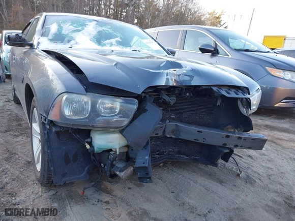 2013 Dodge Charger SE with VIN 2C3CDXBG8DH742561, listed as a IAAI auction lot 41618282 with NaN miles. Bid and sale history available at carsss.com. Image 6.