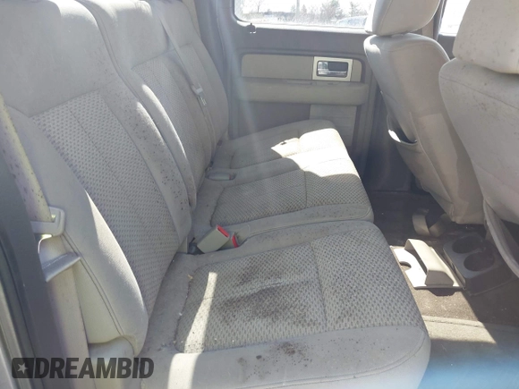 2010 Ford F-150 XL with VIN 1FTFW1EV3AFB48239, listed as a IAAI auction lot 41997862 with 258,935 mi miles. Bid and sale history available at carsss.com. Image 8.